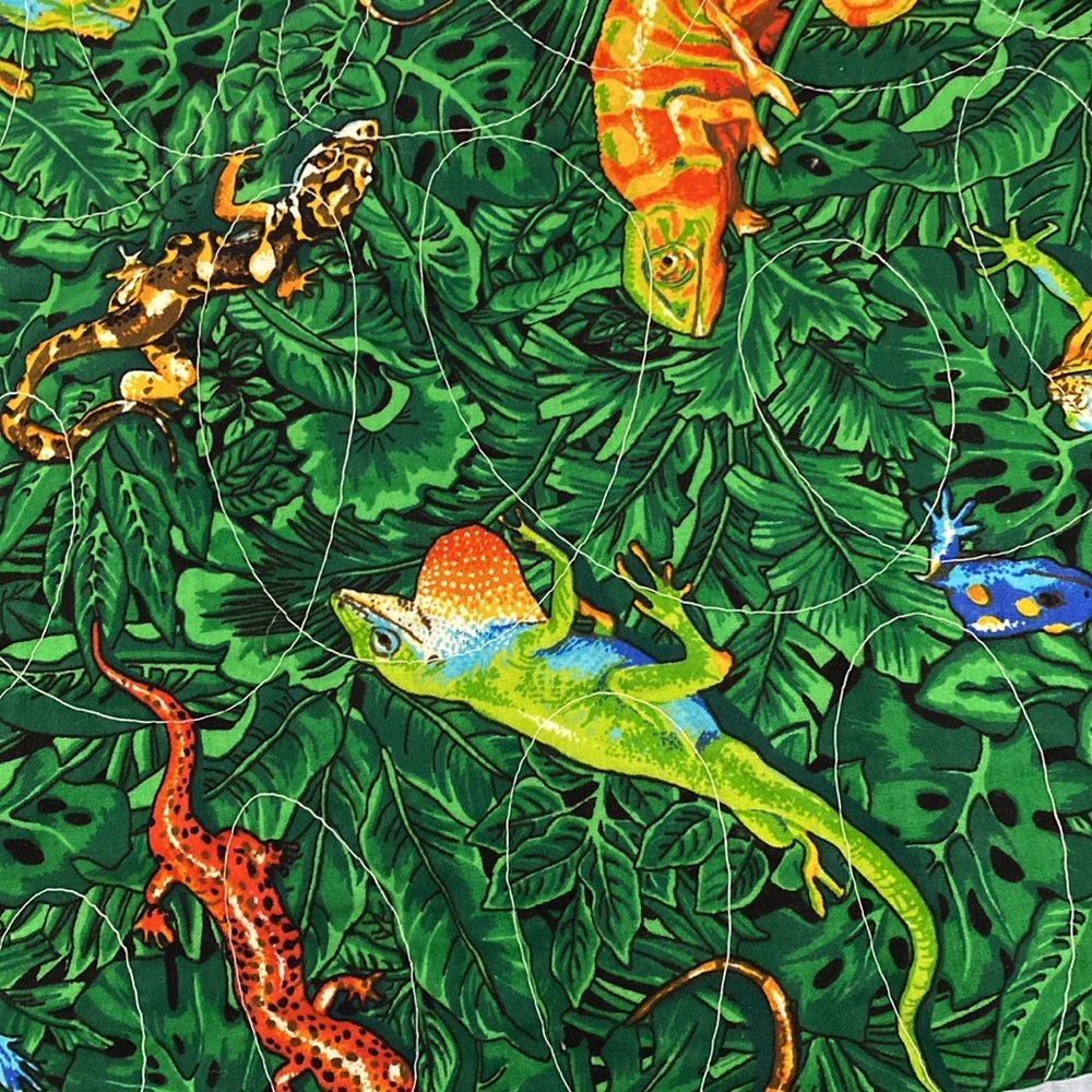 Colorful Chameleon Quilt with Blue Center and trim. Back is various patterns